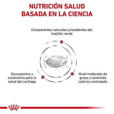 Royal Canin Veterinary Canine Mobility Support Pienso Para Perros 5 Royal Canin Veterinary Canine Mobility Support Pienso Para Perros - Imagen 3