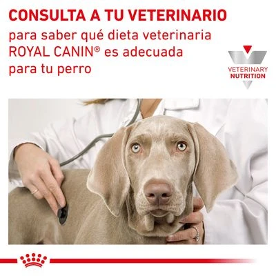 Royal Canin Veterinary Canine Mobility Support Pienso Para Perros 9 Royal Canin Veterinary Canine Mobility Support Pienso Para Perros - Imagen 7