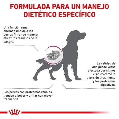 Royal Canin Veterinary Canine Renal Special Pienso Para Perros 4 Royal Canin Veterinary Canine Renal Special Pienso Para Perros - Imagen 2