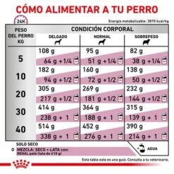 Royal Canin Veterinary Canine Renal Special Pienso Para Perros 14 Royal Canin Veterinary Canine Renal Special Pienso Para Perros -Gatos Perros Suministros Tienda rc vet dry dogrenalspe cv eretailkit 6 es es 3