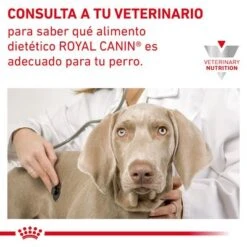 Royal Canin Veterinary Canine Gastrointestinal Low Fat Pienso Para Perros 18 Royal Canin Veterinary Canine Gastrointestinal Low Fat Pienso Para Perros -Gatos Perros Suministros Tienda rc vhn gastrointestinallowfatdog cv eretailkit 9 es es pdf 0