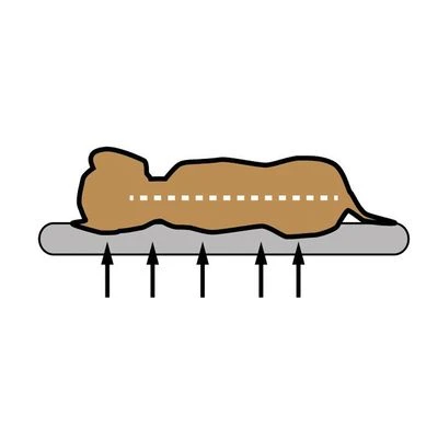 Cojín Ortopédico Pawz & Pepper Denver 7 Cojín Ortopédico Pawz & Pepper Denver - Imagen 5