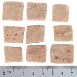 Pack Ahorro 4 X Wolf Of Wilderness RAW Snacks Liofilizados Premium -Gatos Perros Suministros Tienda wow fd snack blue river cubes with ruler 4