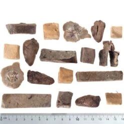 Wolf Of Wilderness RAW 5 Snacks Liofilizados - 5 Sabores -Gatos Perros Suministros Tienda wow raw mixed fg 5427 2