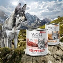 Wolf Of Wilderness Free Range 6 X 400 G / 800 G - Pack De Prueba -Gatos Perros Suministros Tienda zop 21 048 wow nafu 800g 400g 1000x1000 2 9