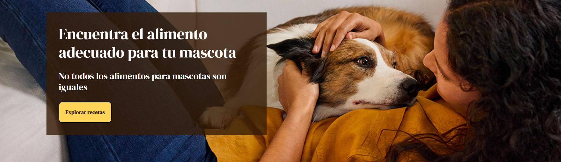 Gatos Perros Suministros Tienda -Gatos Perros Suministros Tienda dfdf