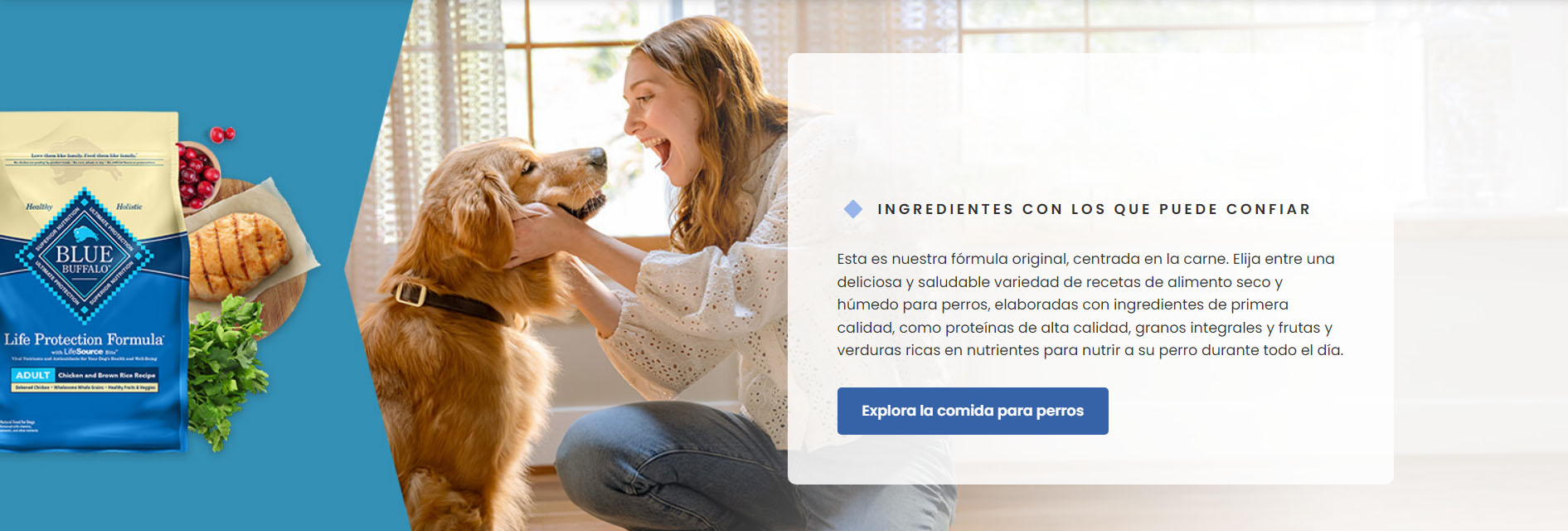 Gatos Perros Suministros Tienda -Gatos Perros Suministros Tienda dfdg